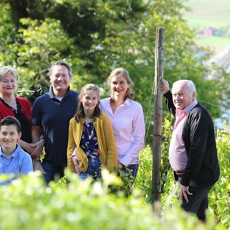 Hotel Weingut Matthias Dostert / Culinarium Nittel Zewnętrze zdjęcie